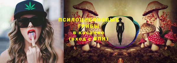 мескалин Богородицк
